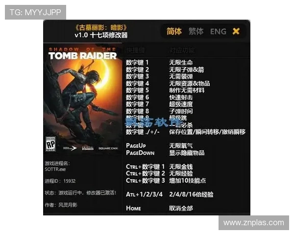 盗版游戏是否可以依靠风灵月影提供破解支持的可行性与法律风险分析